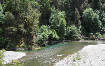 California's Eel River